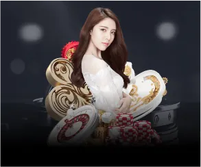 Biểu đồ các loại cookie khác nhau được vi68 casino sử dụng